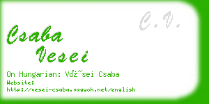 csaba vesei business card